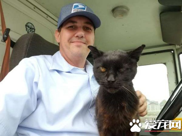 傲娇黑猫超粘人 不摸摸抱抱便不下车回家
