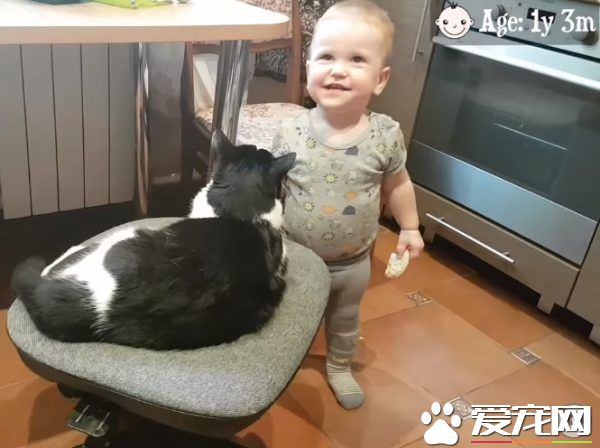 亲猫狂 人类弟弟超爱他的猫哥哥