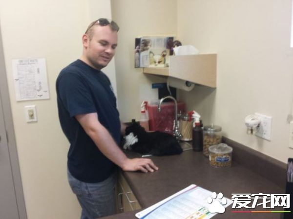 猫兄弟初看医生争相躲水槽 模样超级可怜却又好笑