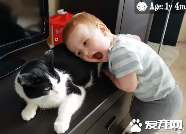 亲猫狂 人类弟弟超爱他的猫哥哥