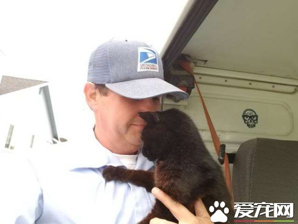 傲娇黑猫超粘人 不摸摸抱抱便不下车回家