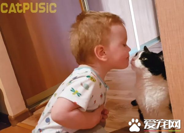 亲猫狂 人类弟弟超爱他的猫哥哥