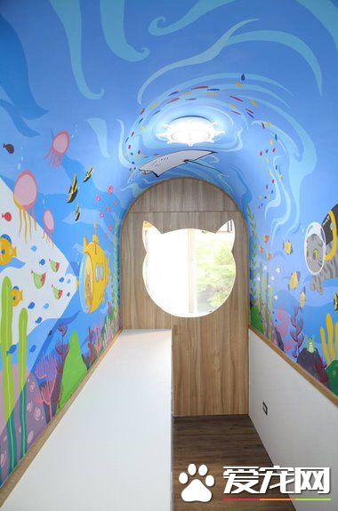 猫咪游乐园主题餐厅  成为未来流浪喵们的庇护所