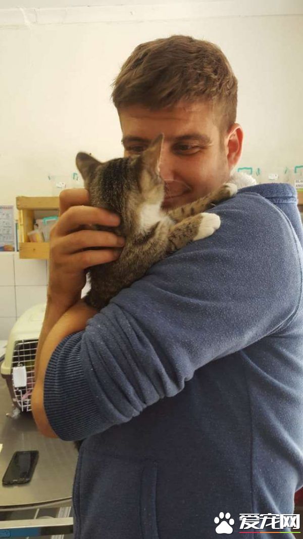 流浪盲眼猫 用爱与勇气获真命猫奴