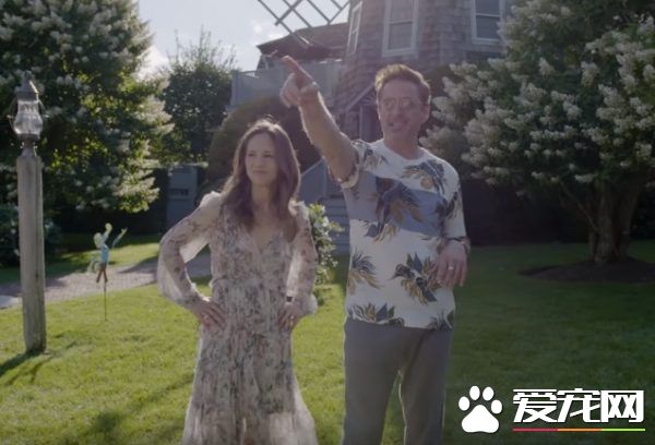 猫咪的魅力 让不爱猫的小罗勃道尼化身超级猫奴