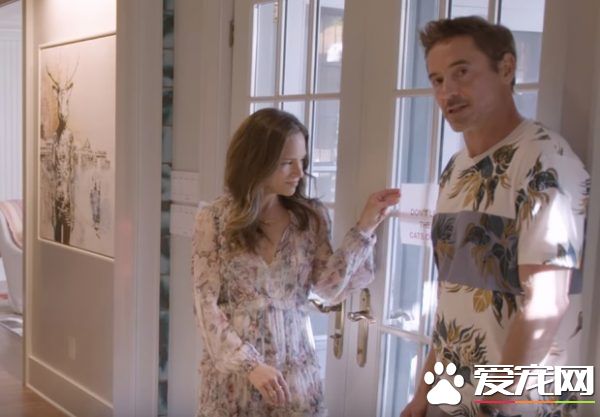 猫咪的魅力 让不爱猫的小罗勃道尼化身超级猫奴