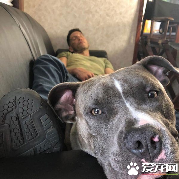 银幕上的粗犷硬汉 私下却是位强悍又爱动物的真男人