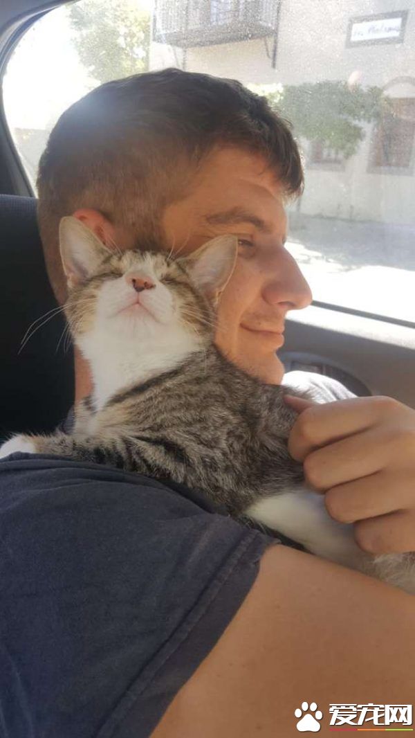 流浪盲眼猫 用爱与勇气获真命猫奴