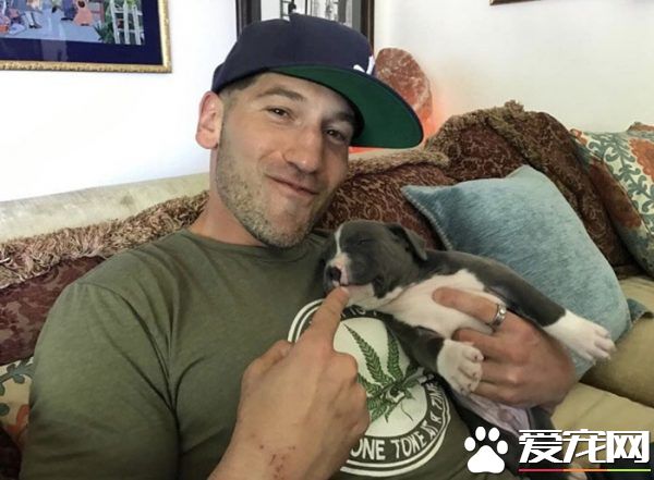 银幕上的粗犷硬汉 私下却是位强悍又爱动物的真男人