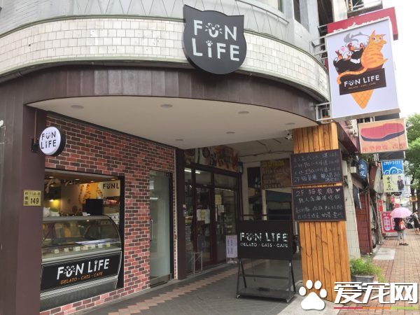 猫咪游乐园主题餐厅  成为未来流浪喵们的庇护所