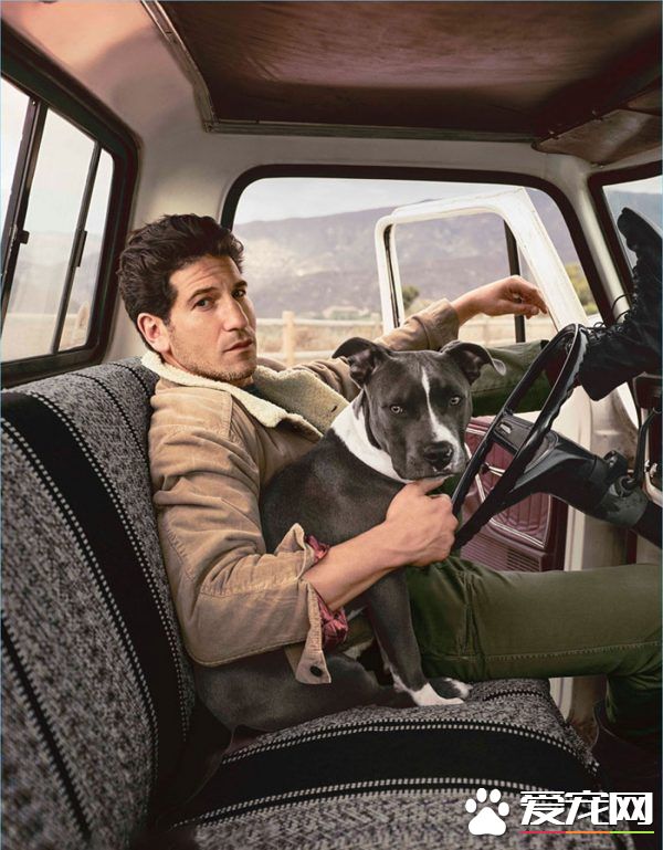 银幕上的粗犷硬汉 私下却是位强悍又爱动物的真男人