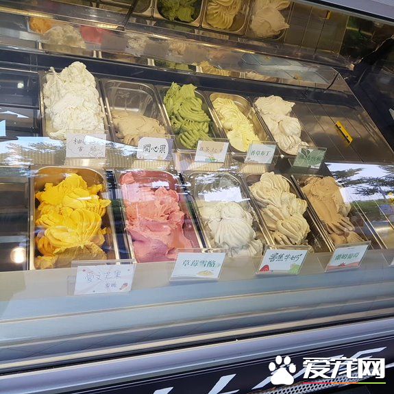 猫咪游乐园主题餐厅  成为未来流浪喵们的庇护所