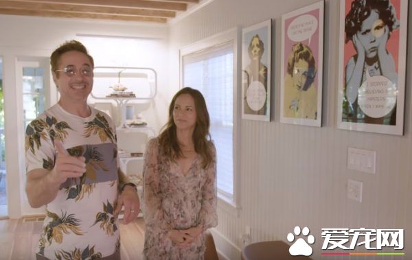 猫咪的魅力 让不爱猫的小罗勃道尼化身超级猫奴