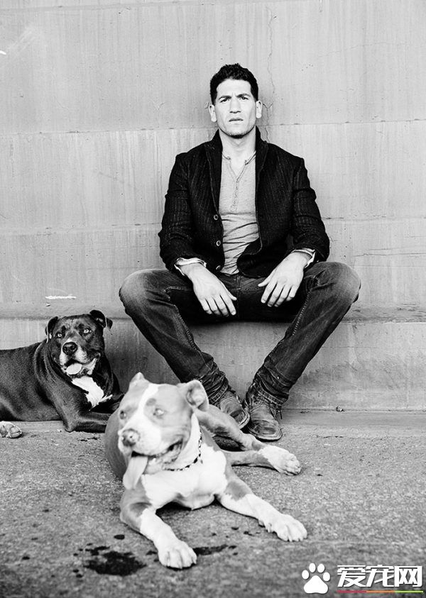 银幕上的粗犷硬汉 私下却是位强悍又爱动物的真男人