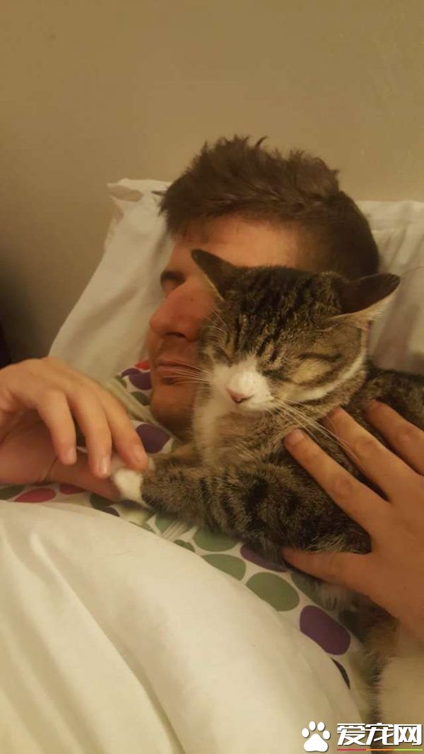 流浪盲眼猫 用爱与勇气获真命猫奴