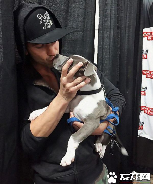 银幕上的粗犷硬汉 私下却是位强悍又爱动物的真男人