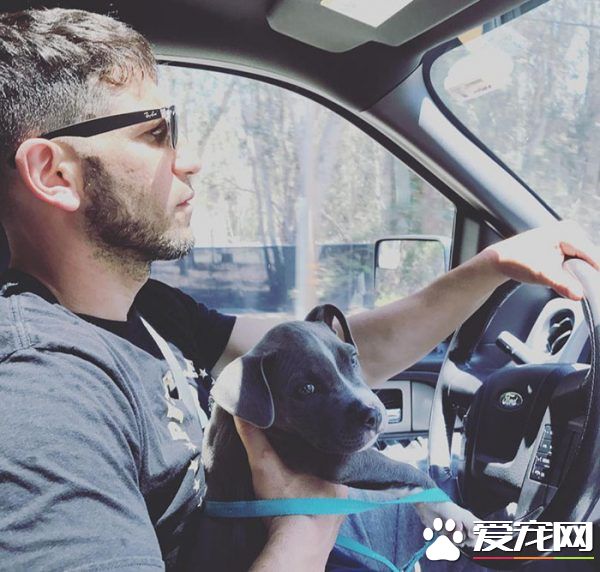 银幕上的粗犷硬汉 私下却是位强悍又爱动物的真男人