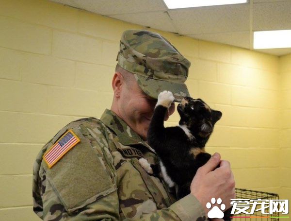 男子入收容所想收编狗狗 却意外变猫奴