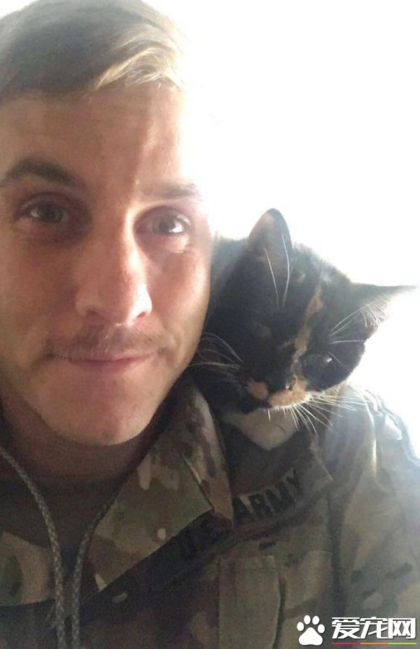 男子入收容所想收编狗狗 却意外变猫奴