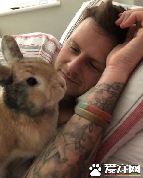 对动物无感外国男子 被温柔兔子暖化为粉丝