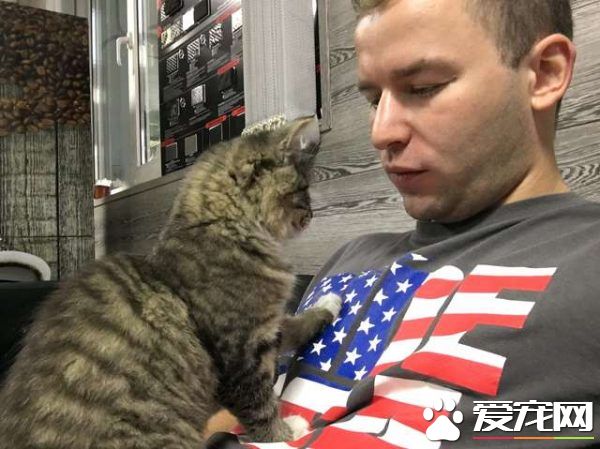 浪浪磁场的俄国男子 上班连捡命中注定的猫狗