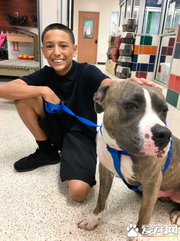 天灾难测 毛小孩们和主人灾后重聚是无价的