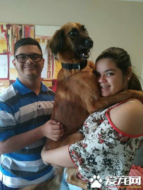 天灾难测 毛小孩们和主人灾后重聚是无价的