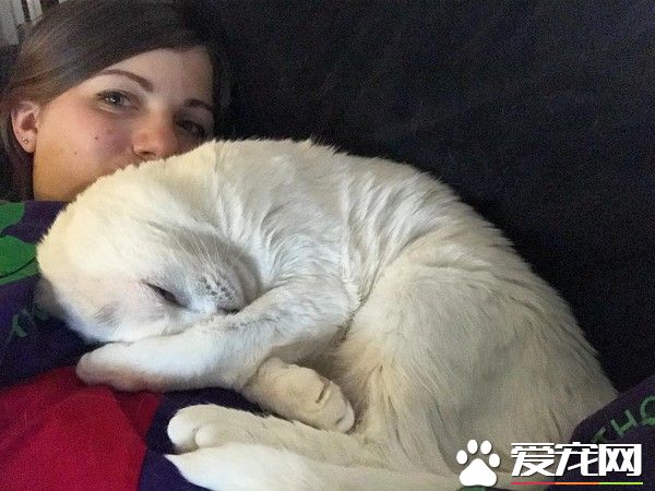 焦虑症女孩领养无耳猫 猫咪帮助下克服精神疾病