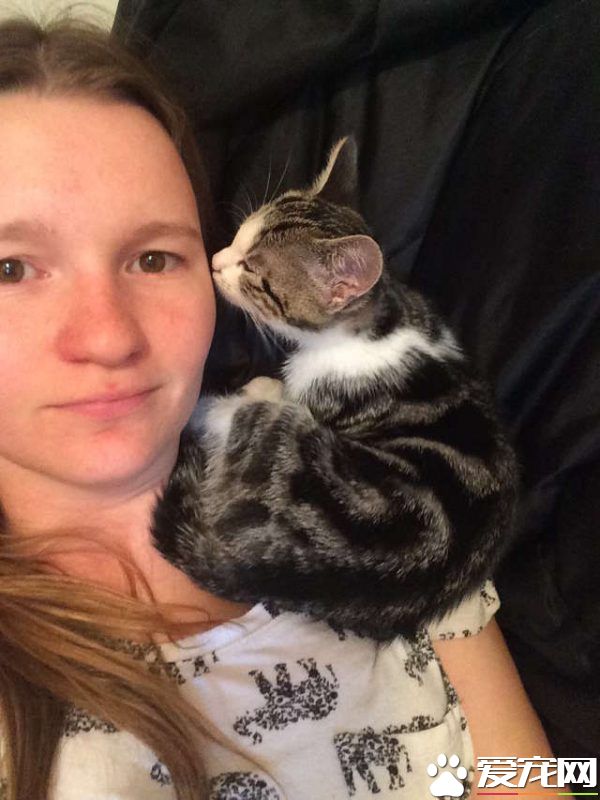 喵星人的魅力！声称不养猫的爸爸也难逃喵手