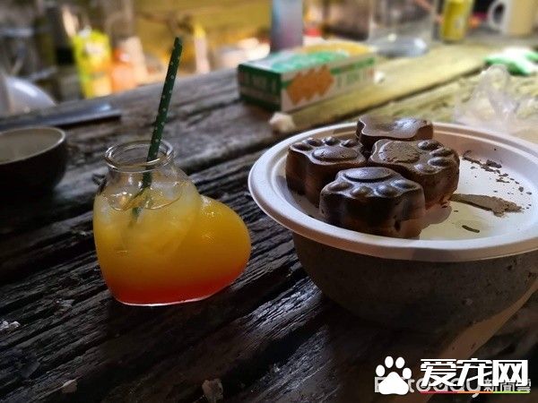 佛系经营方式的猫咖啡厅 现任店长背后故事超感人