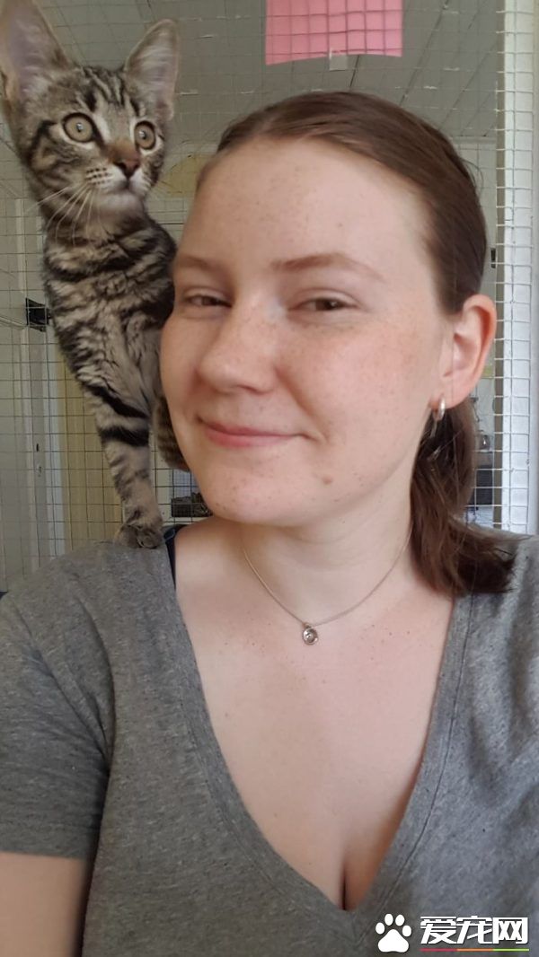 看！一位工作在猫咪收容所的女生对猫咪的爆料