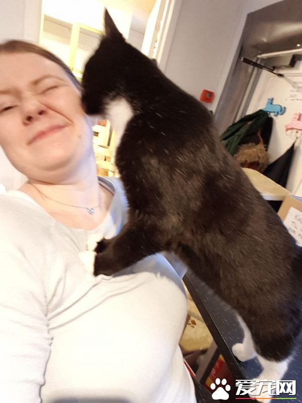 看！一位工作在猫咪收容所的女生对猫咪的爆料