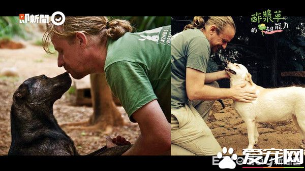 外籍英文师打破重重困难 携手动保组织拯救无数流浪狗