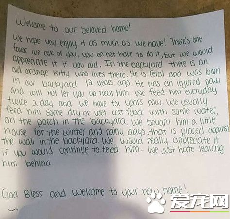 放饭官和不愿进屋的猫咪来日方长