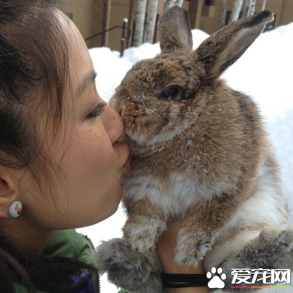 疯狂亚洲富豪女主 银幕上强势私下却是十足兔奴