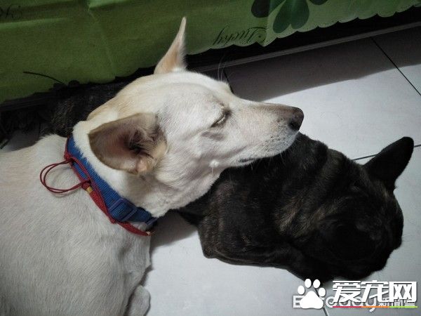 米克斯睡觉突发爆笑意外却佯装镇定 不想麻麻已录像