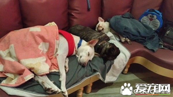 米克斯睡觉突发爆笑意外却佯装镇定 不想麻麻已录像