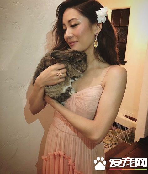 疯狂亚洲富豪女主 银幕上强势私下却是十足兔奴