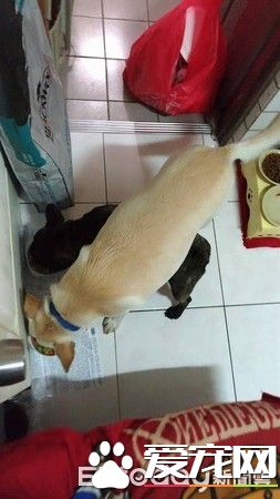 米克斯睡觉突发爆笑意外却佯装镇定 不想麻麻已录像