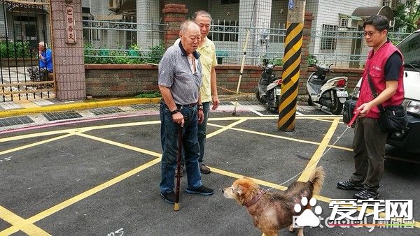 老人与狗 高龄老人不舍送高龄狗动保处