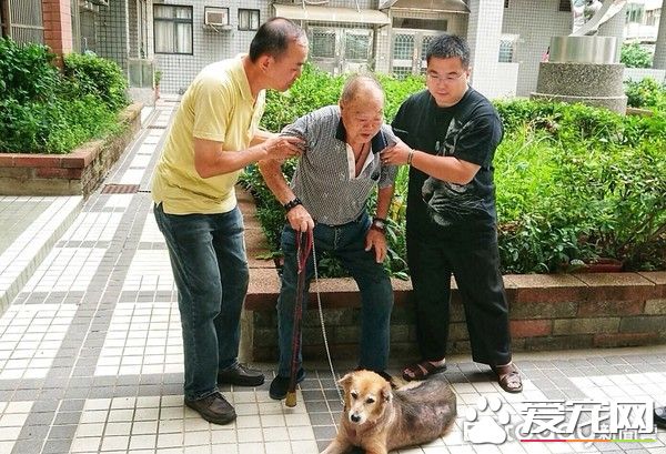 老人与狗 高龄老人不舍送高龄狗动保处