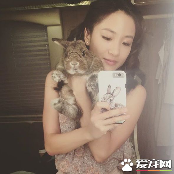 疯狂亚洲富豪女主 银幕上强势私下却是十足兔奴