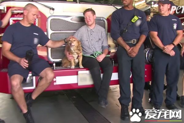 长年被拴的威利小姐 在生命最后时刻体验了快乐