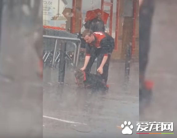 超有爱!狗狗大雨中等主人 好心男子脱外套为狗狗保暖