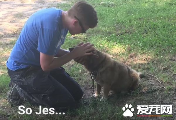 长年被拴的威利小姐 在生命最后时刻体验了快乐