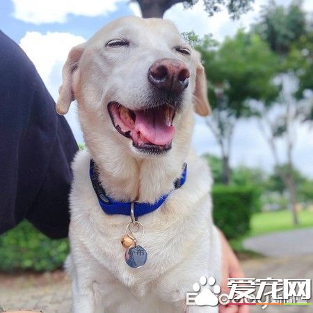 大雨激发的创 小布穿上包货很强的妈妈牌雨衣