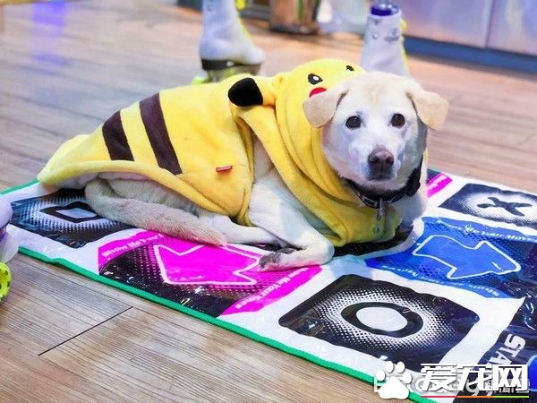 大雨激发的创 小布穿上包货很强的妈妈牌雨衣