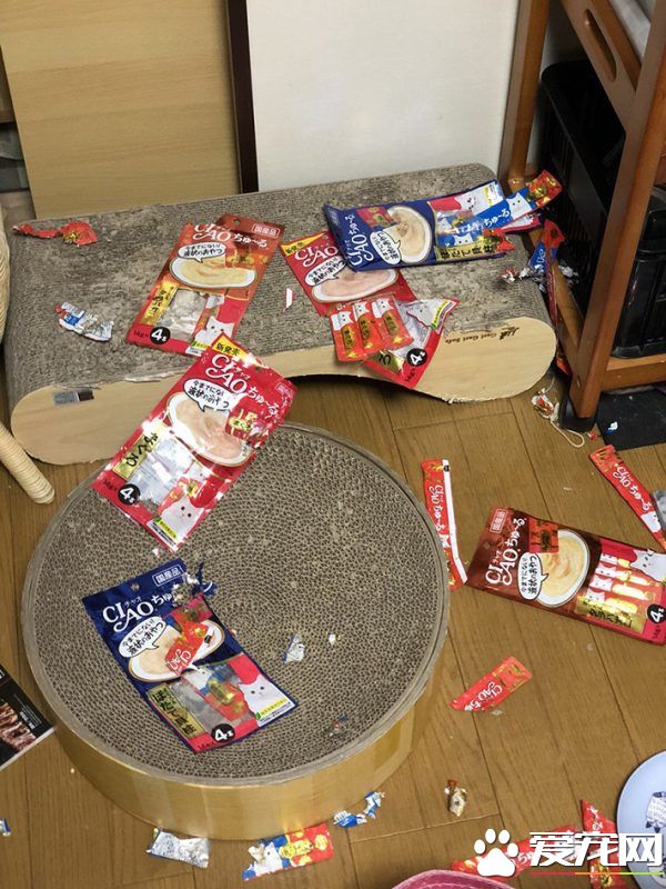 主人外出过夜后回家！发现猫咪竟会自己开肉泥趴