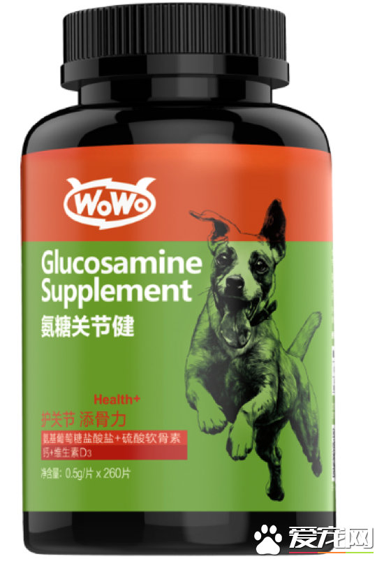 大型犬狗狗关节磨损更严重？WOWO氨糖关节健分析给你看
