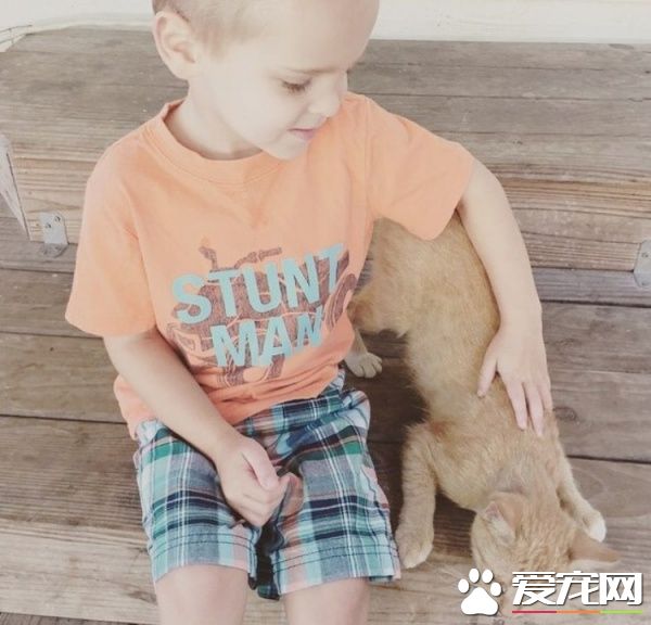 超可爱喵星人 为自己挑了四岁小男孩当猫奴收编